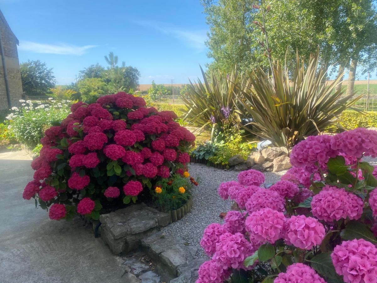 Ferme "Les Flaquettes" Bed & Breakfast Guînes Dış mekan fotoğraf